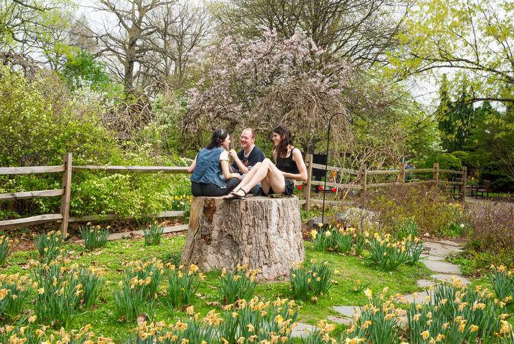 Friends enjoying spring at the Botanical Garden.